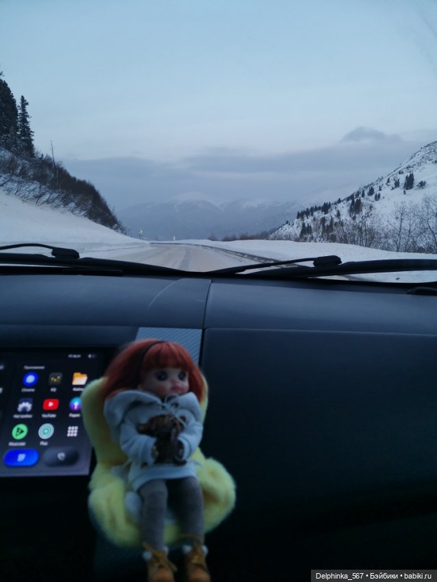 Первое путешествие Вари и Чудика (фото 6)