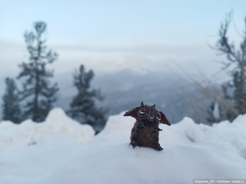 Первое путешествие Вари и Чудика (фото 3)