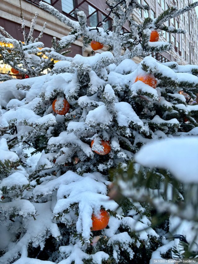 Мандариновое настроение Ажур (авт. Наталья Петрова) (фото 4)