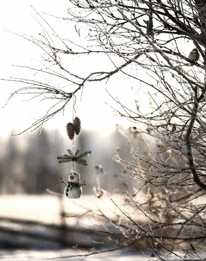 Декабрь - Тьма, Свет, Мерцание (фото 2)