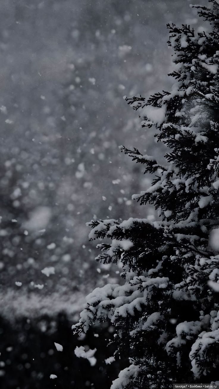 Декабрь - Тьма, Свет, Мерцание