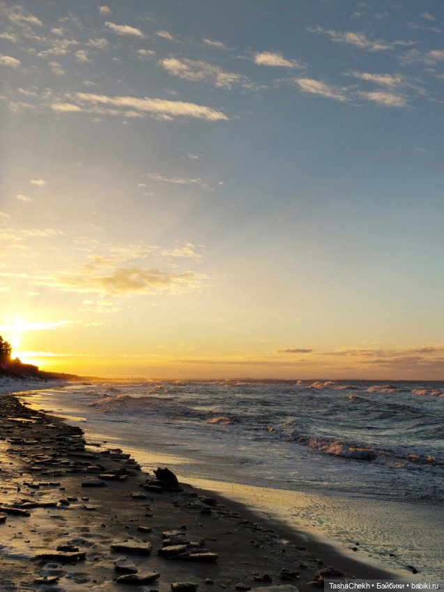 Зимняя прогулка с любимым медвежонком (фото 3)