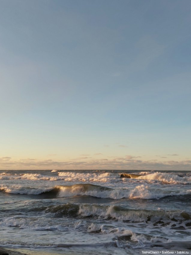 Зимняя прогулка с любимым медвежонком (фото 2)