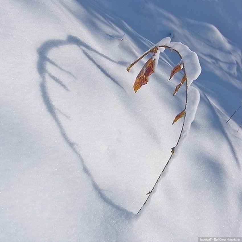 Снег сказочное — Культура