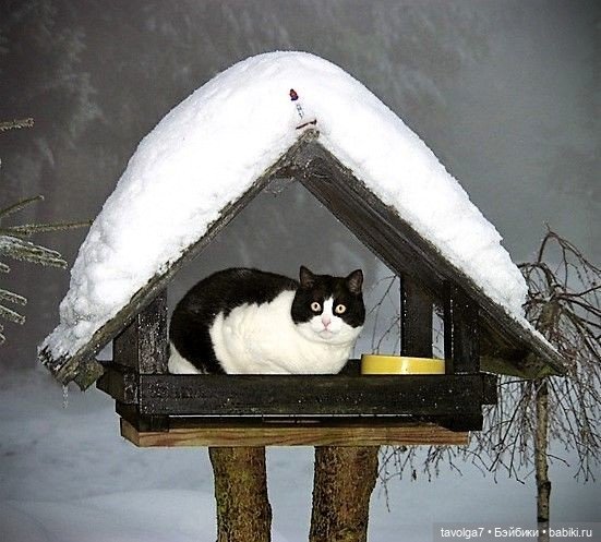 Снег сказочное — Культура