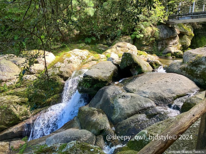 В поисках Принцессы Мононоке