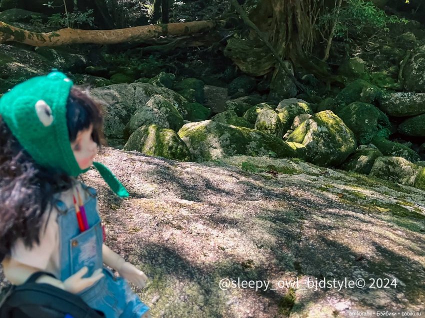 В поисках Принцессы Мононоке