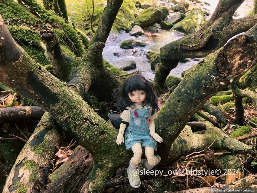 В поисках Принцессы Мононоке