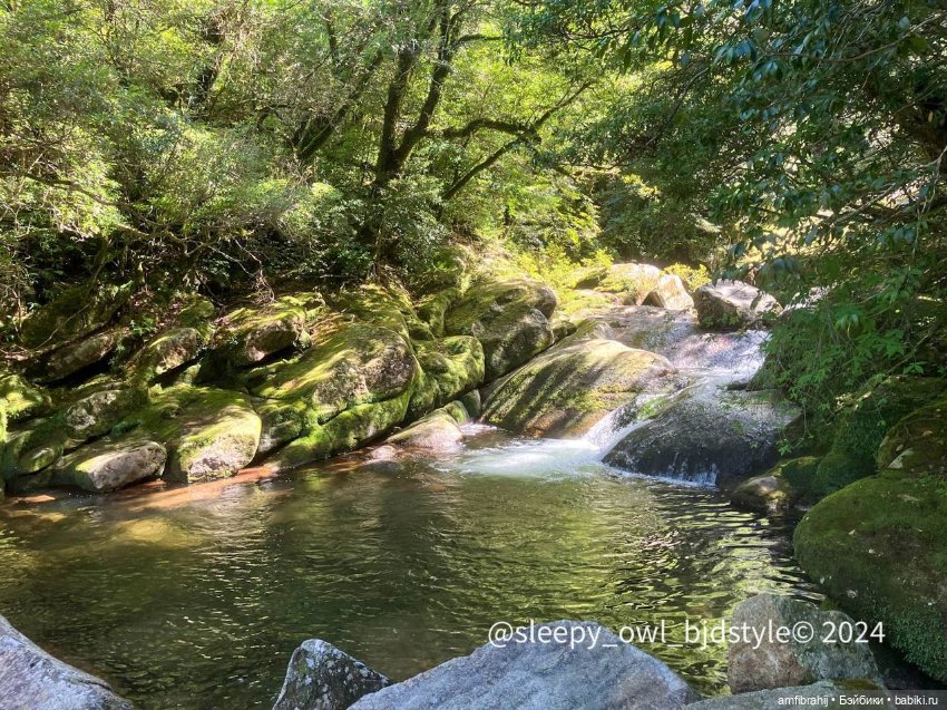 В поисках Принцессы Мононоке