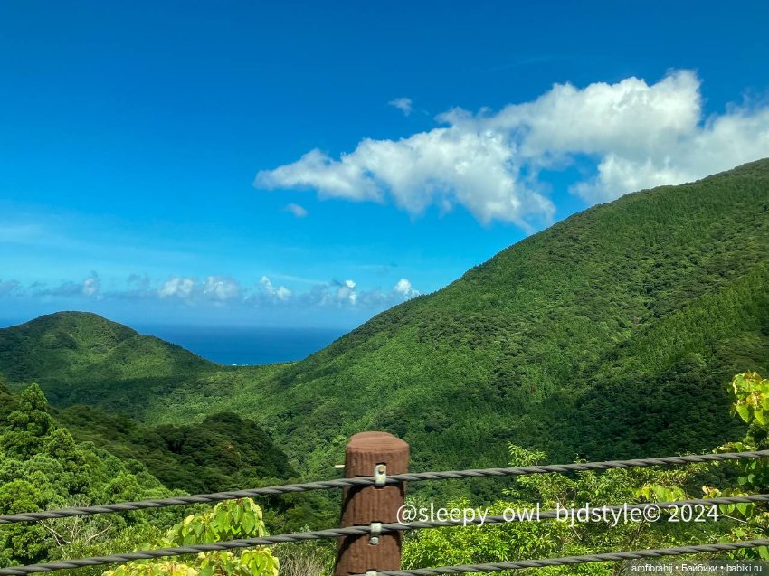 В поисках Принцессы Мононоке (фото 10)