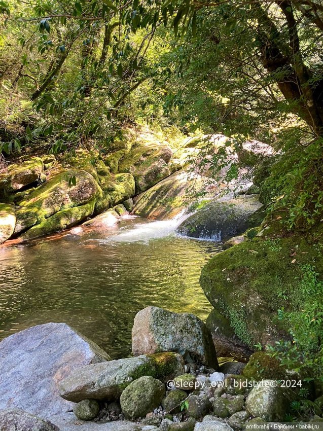 В поисках Принцессы Мононоке