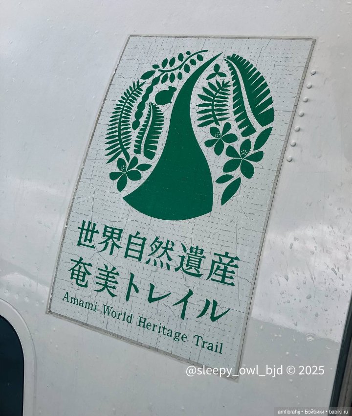 В поисках Принцессы Мононоке