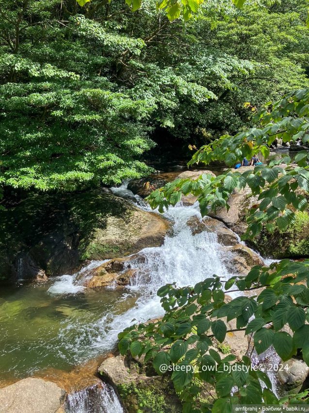 В поисках Принцессы Мононоке