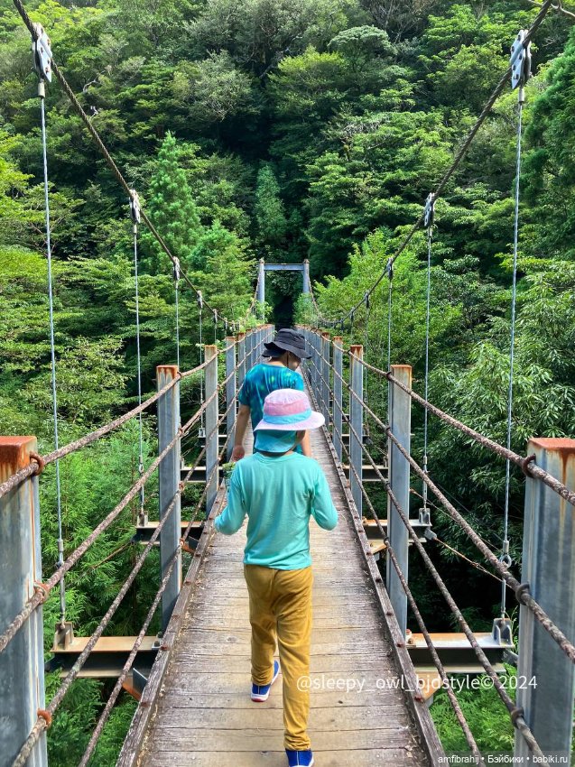 В поисках Принцессы Мононоке