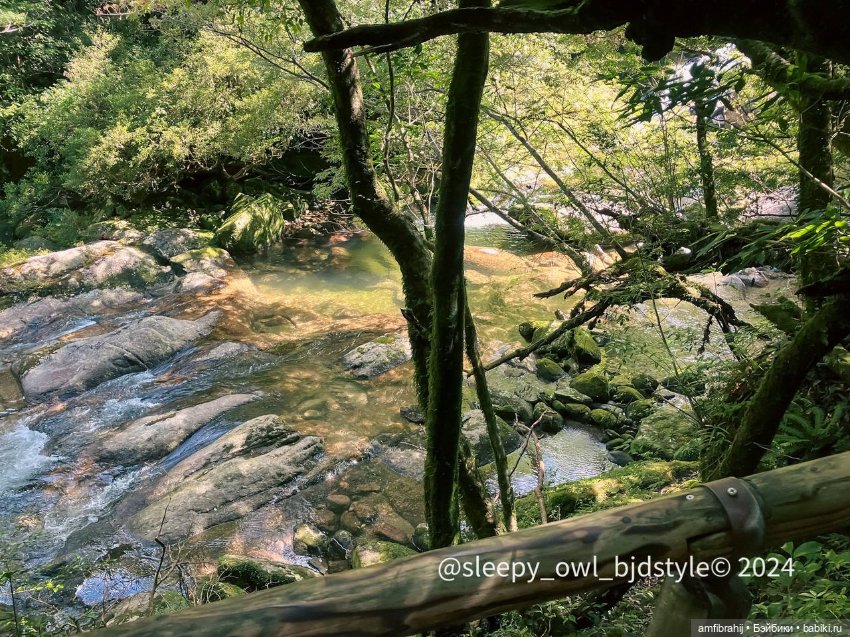 В поисках Принцессы Мононоке