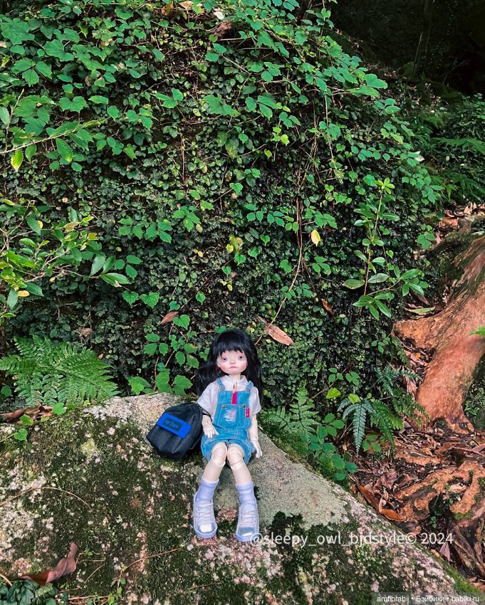 В поисках Принцессы Мононоке