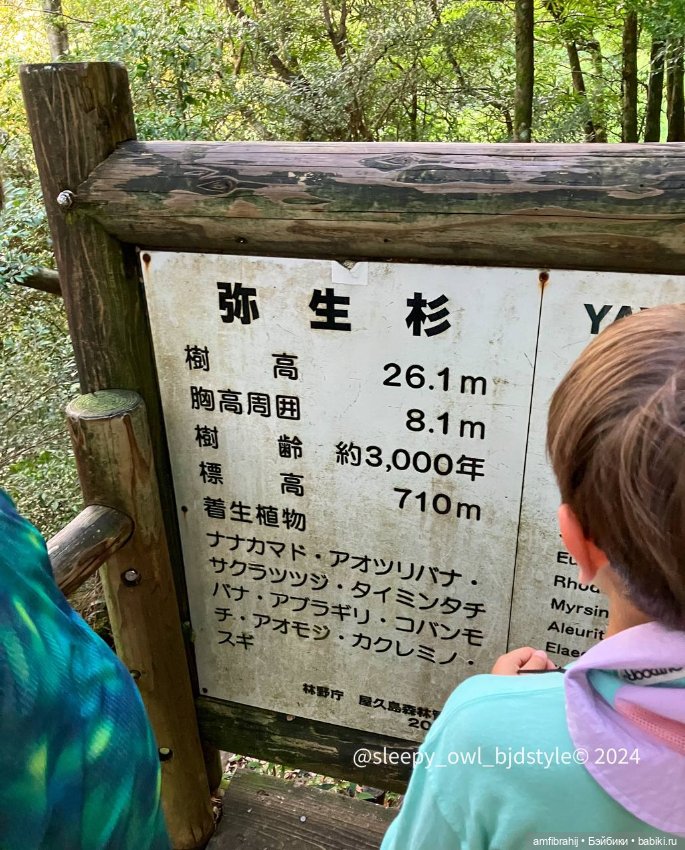 В поисках Принцессы Мононоке