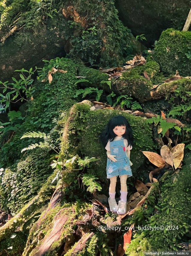 В поисках Принцессы Мононоке