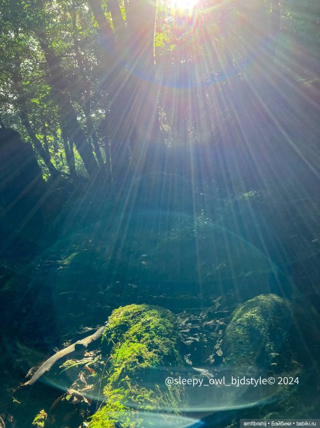 В поисках Принцессы Мононоке