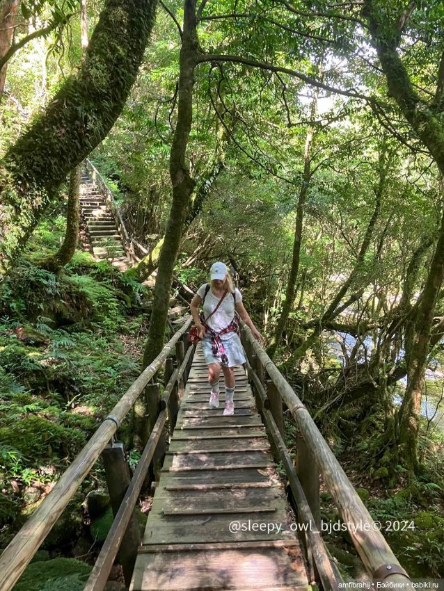 В поисках Принцессы Мононоке