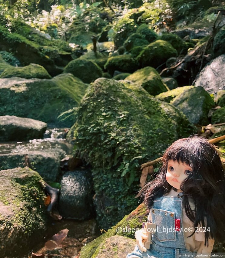 В поисках Принцессы Мононоке