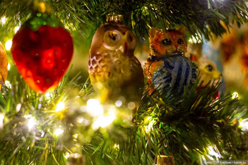 Сверкающая ёлка 🎄🎄🎄 — Интересное обо всем: поздравления (фото 7)