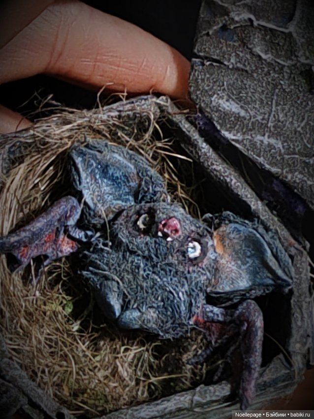 Ушастые летучие мыши — Зарисовки из кукольной жизни: фотоистории