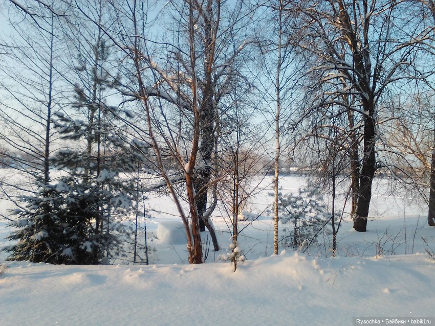 Солнечный денёк — Куклы Barbie (Барби): Looks (фото 4)