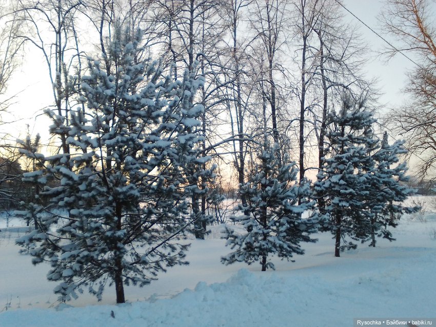 Солнечный денёк — Куклы Barbie (Барби): Looks