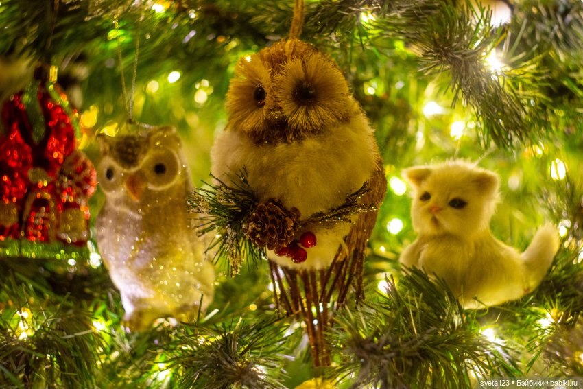 Сверкающая ёлка 🎄🎄🎄 — Интересное обо всем: поздравления