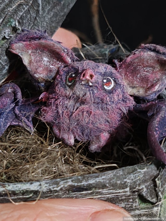 Ушастые летучие мыши — Зарисовки из кукольной жизни: фотоистории