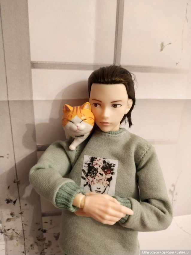 Моримото Кохэку — Куклы Momoko и Ruruko (Petworks