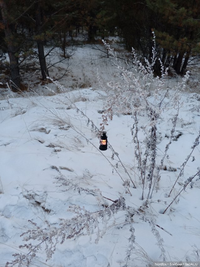 Молли 💖 — Куклы Ruby Red (Руби Ред) Fashion Friends: Siblies (фото 2)