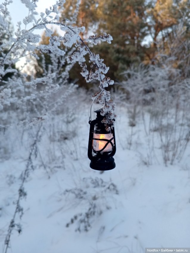 Молли 💖 — Куклы Ruby Red (Руби Ред) Fashion Friends: Siblies (фото 3)