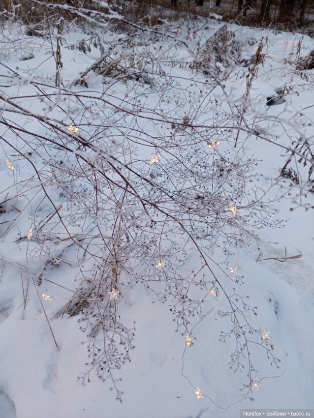 Молли 💖 — Куклы Ruby Red (Руби Ред) Fashion Friends: Siblies