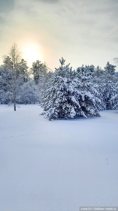 В новогоднем лесу ❄️❄️❄️ — Куклы Sylvia Natterer (Сильвия Наттерер): Gotz