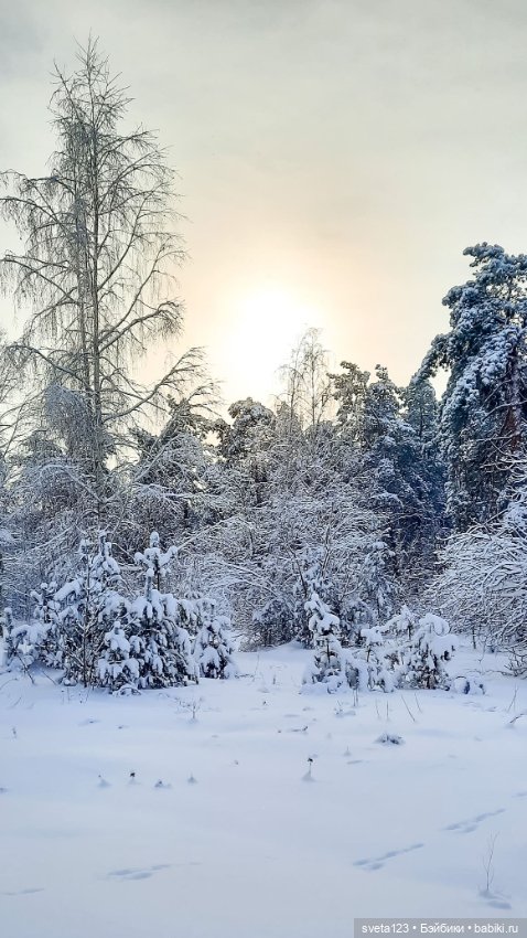 В новогоднем лесу ❄️❄️❄️ — Куклы Sylvia Natterer (Сильвия Наттерер): Gotz