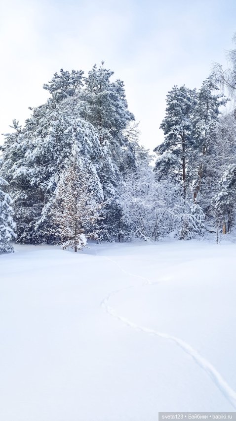 В новогоднем лесу ❄️❄️❄️ — Куклы Sylvia Natterer (Сильвия Наттерер): Gotz