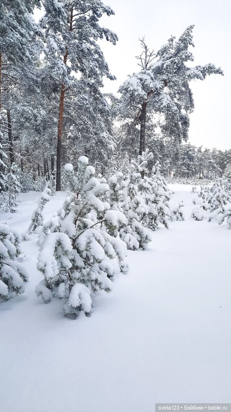 В новогоднем лесу ❄️❄️❄️ — Куклы Sylvia Natterer (Сильвия Наттерер): Gotz