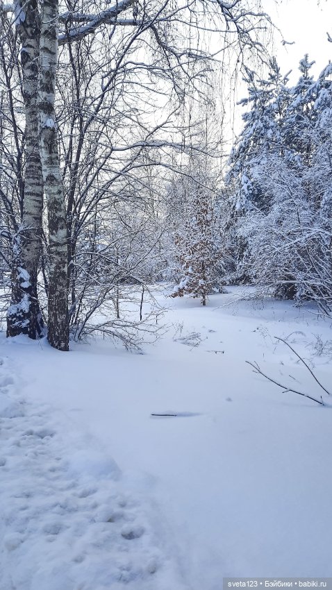 В новогоднем лесу ❄️❄️❄️ — Куклы Sylvia Natterer (Сильвия Наттерер): Gotz