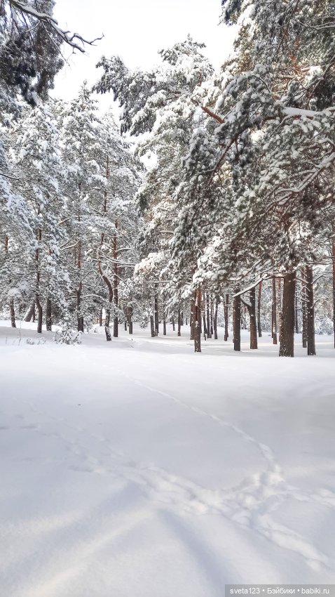 В новогоднем лесу ❄️❄️❄️ — Куклы Sylvia Natterer (Сильвия Наттерер): Gotz