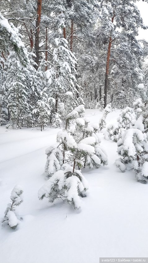 В новогоднем лесу ❄️❄️❄️ — Куклы Sylvia Natterer (Сильвия Наттерер): Gotz (фото 3)
