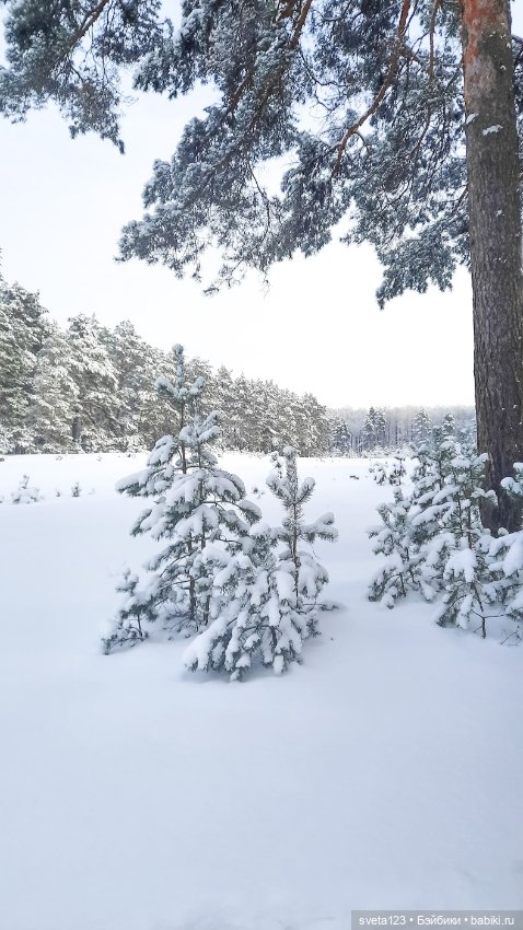 В новогоднем лесу ❄️❄️❄️ — Куклы Sylvia Natterer (Сильвия Наттерер): Gotz (фото 7)