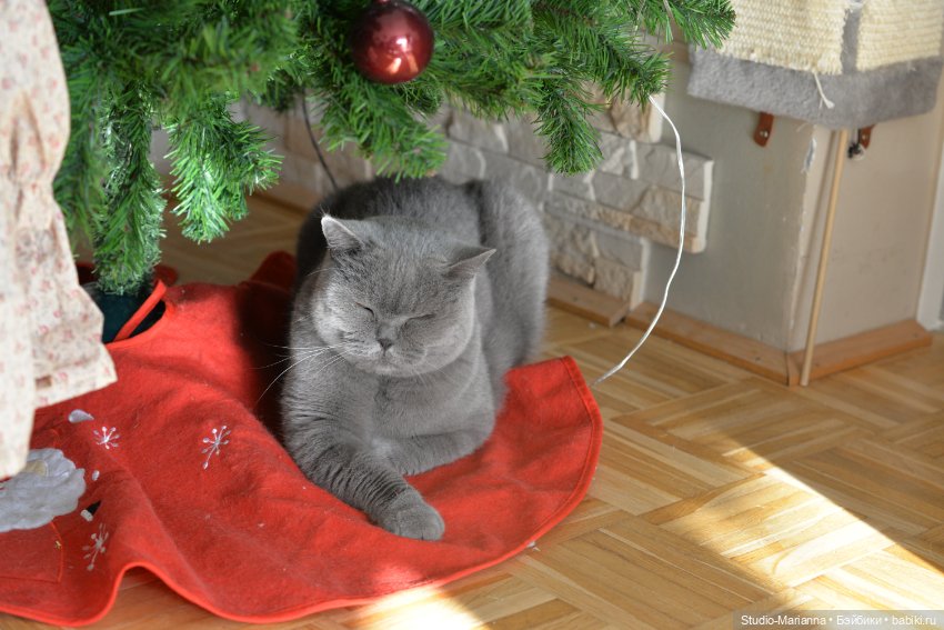 Химочки под елочкой. Часть 3