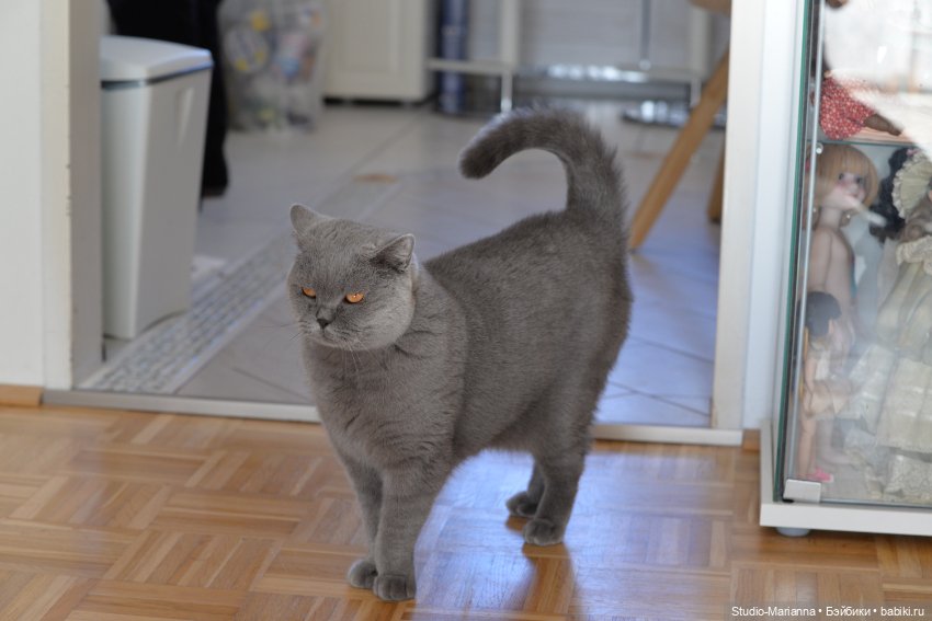 Химочки под елочкой. Часть 3 (фото 5)