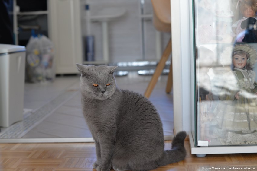 Химочки под елочкой. Часть 3 (фото 6)