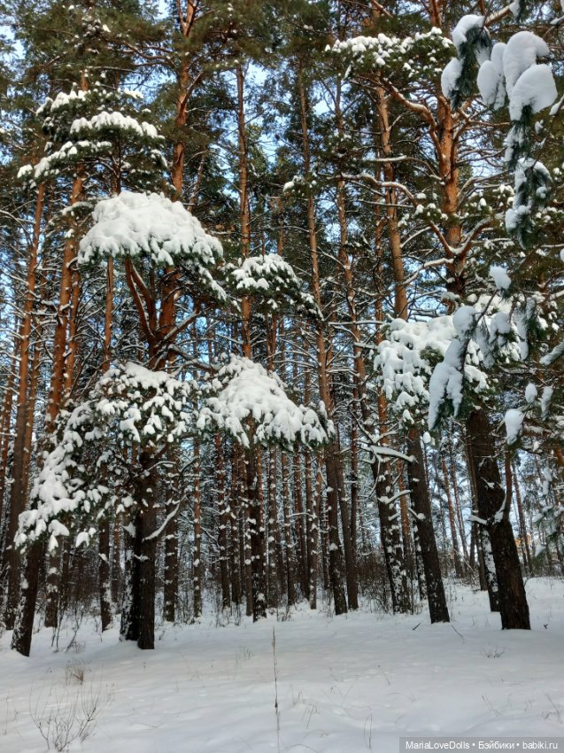 Зимний лес и маленькая Лиза