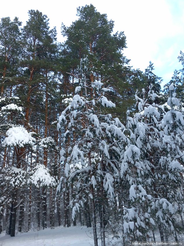 Зимний лес и маленькая Лиза