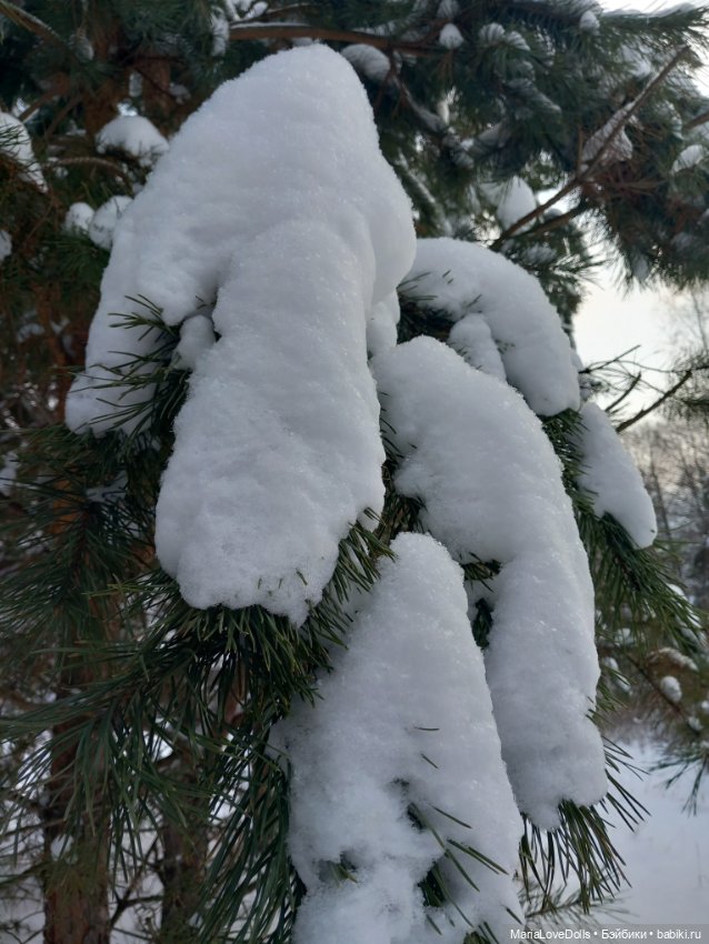Зимний лес и маленькая Лиза