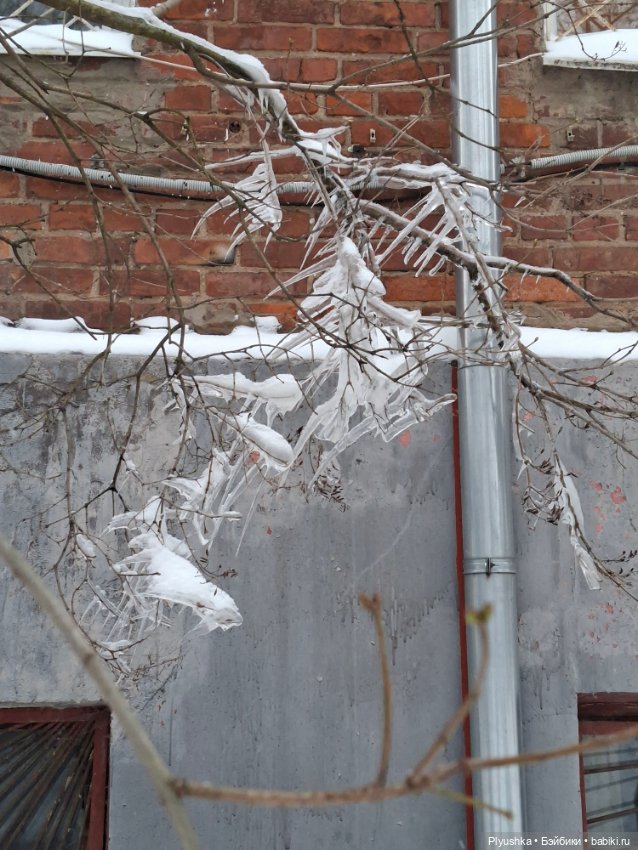 Зайки мои) — Азиатские виниловые куклы (разное): Китай